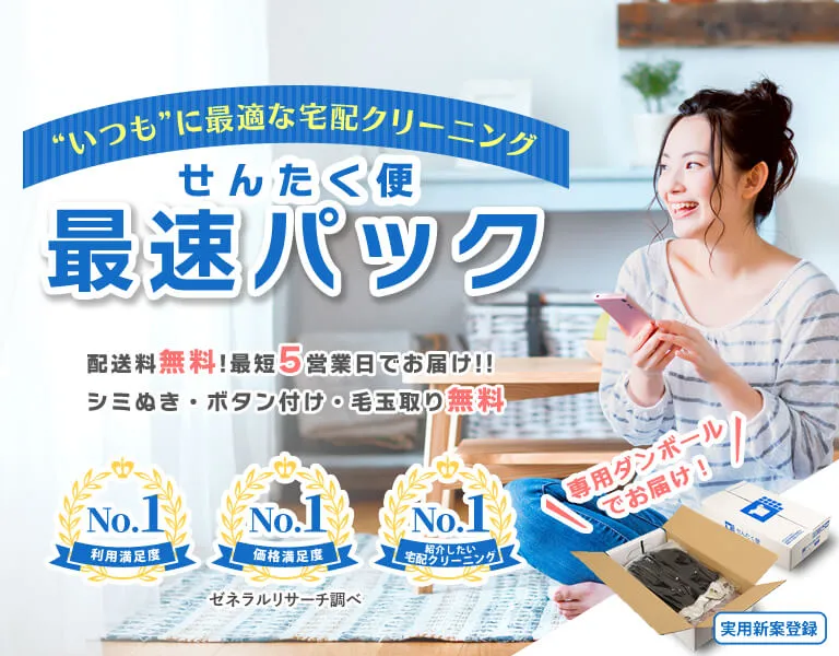 せんたく便紹介バナー|10点最速パック